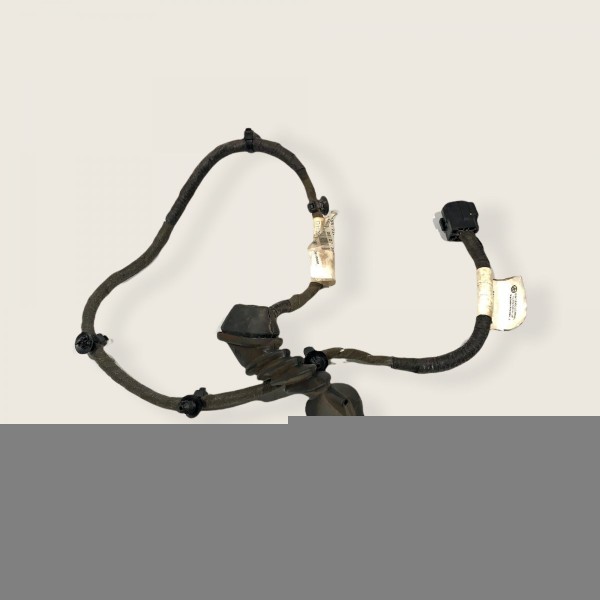 Chicote Porta Traseira Direita Fiat Mobi 2017/2018 (1015)