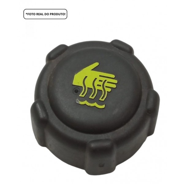 Tampa Reservatório Radiador Renault Sandero 1.6 St 2019/20