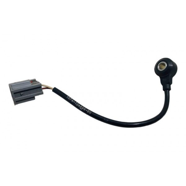 Sensor De Detonação Ford Focus 2015 Usado