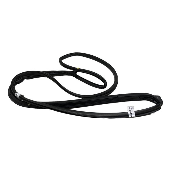 Borracha Porta Traseira Esquerda  Nissan March 1.6 2013