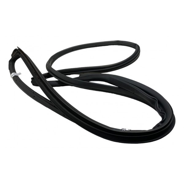 Borracha Porta Traseira Esquerda  Nissan March 1.6 2013