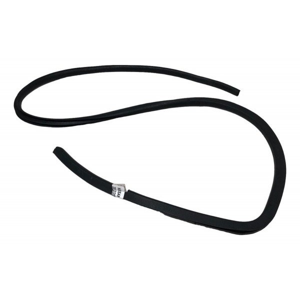 Borracha Porta Traseira  Direita Nissan March 1.6 2013