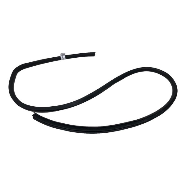 Borracha Porta Traseira  Direita Nissan March 1.6 2013