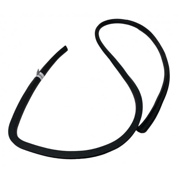 Borracha Porta Traseira  Direita Nissan March 1.6 2013