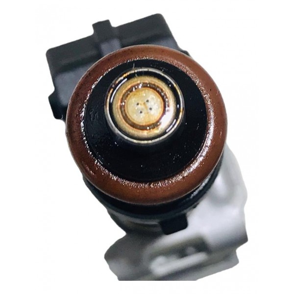 Bico Injetor Ford Focus Ecosport 1.6 16v Flex  2013 Original