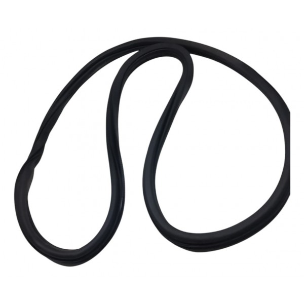 Borracha Porta Traseira Direita Vw Polo 2019