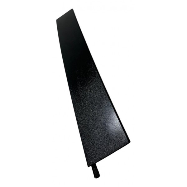 Moldura Externa Porta Traseira Esquerda Ford Focus 2.0 2009