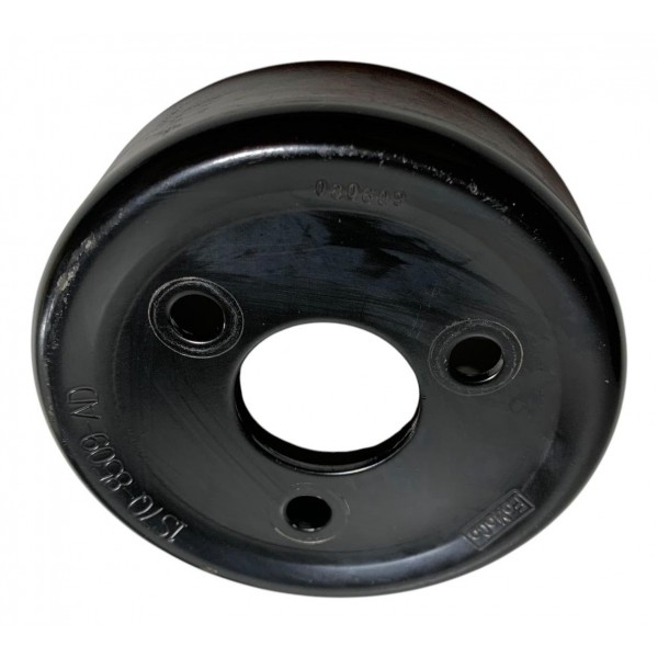 Polia Bomba Água Ford Focus 2.0 16v 2009