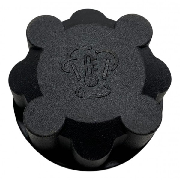 Tampa Reservatório Água Ford Focus 2.0 2009