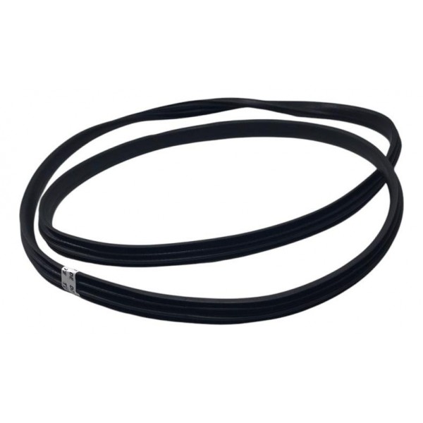 Borracha Da Porta Traseira Esquerda Sandero 2015