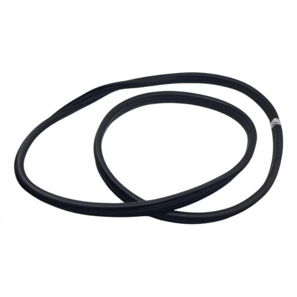 Borracha Da Porta Traseira Esquerda Sandero 2015