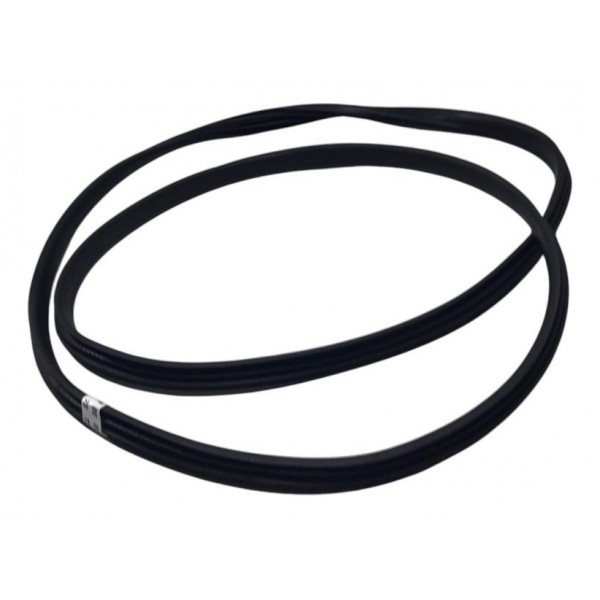 Borracha Da Porta Traseira Esquerda Sandero 2015