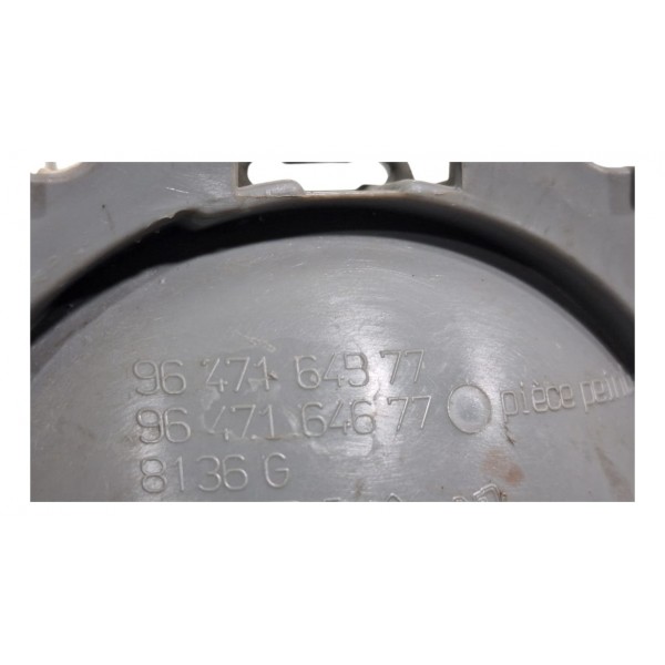 Maçaneta Interna Tras Esquerda Citroen C3 2010 Original Foto