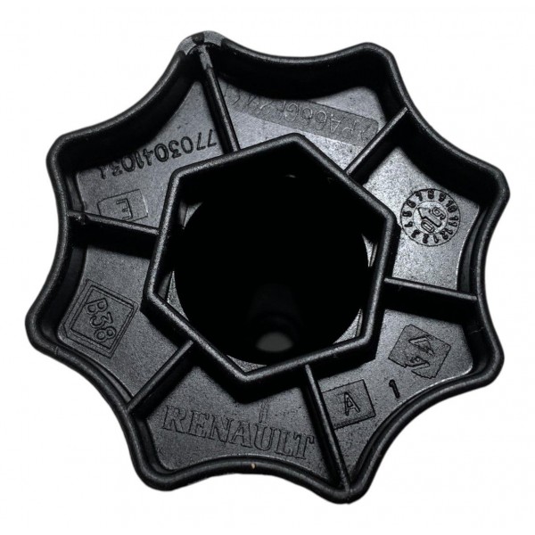 Parafuso Fixação Estepe Renault Sandero 2015 7703041034