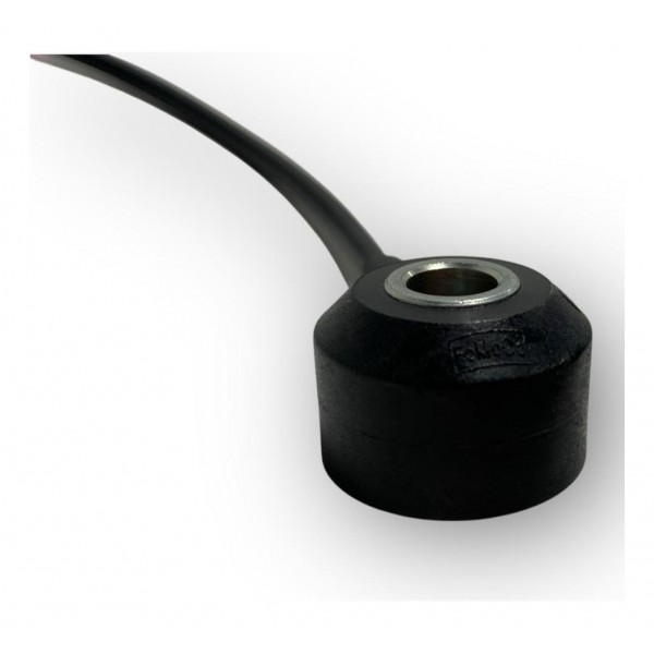 Sensor Detonação Ford Ecosport Ka 1.5 2021 340620038